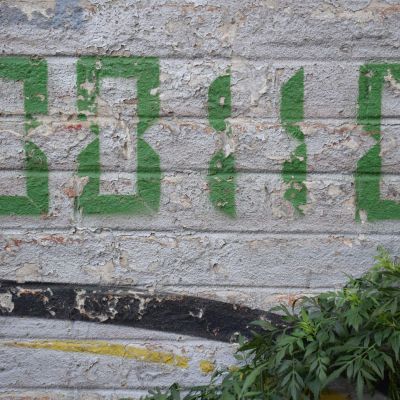 marija-zaric-sgC8627iZXI-unsplash
